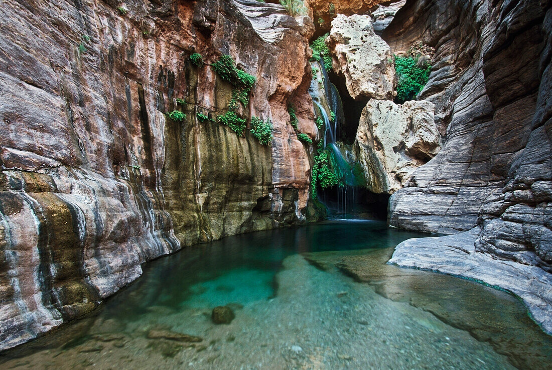 Waterfall And Pool, Elves Chasm, Grand Canyon National Park, Arizona, Usa