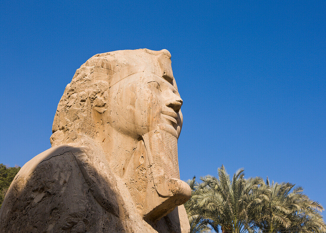 'The Alabaster Sphinx; Memphis, Egypt'