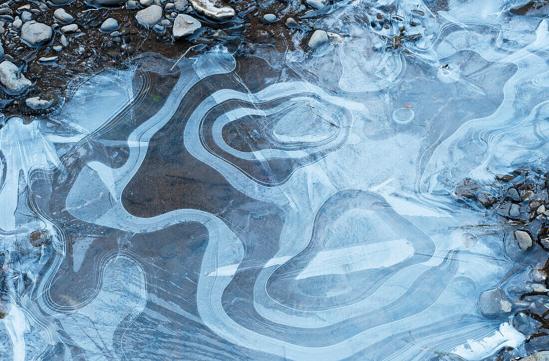 'Ice patterns are found along Youngs River; Olney, Oregon, United States of America'