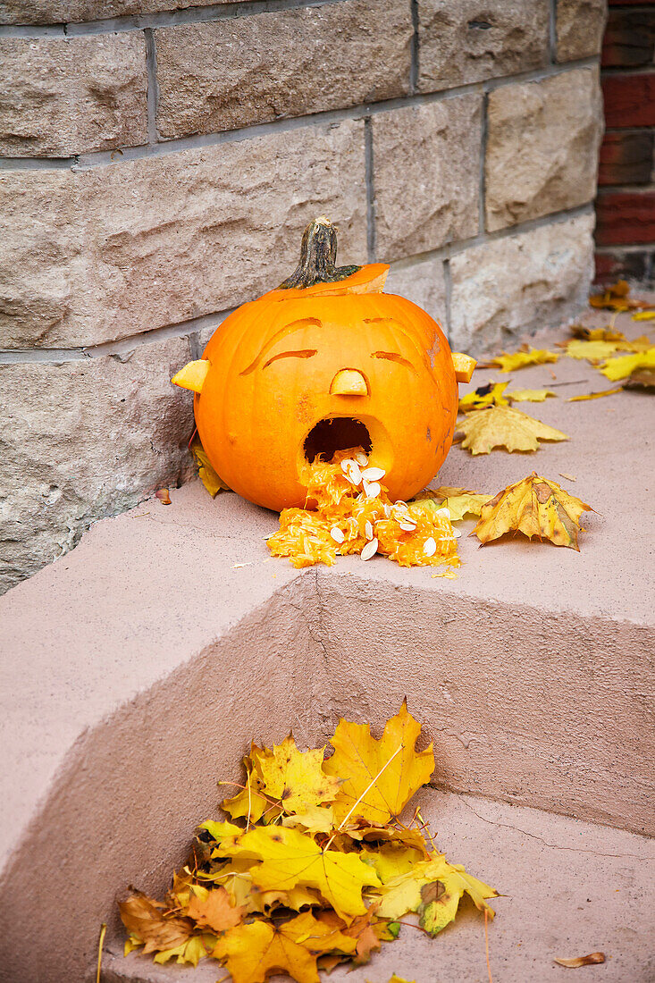 'Pumpkin carved for Halloween; Toronto, Ontario, Canada'