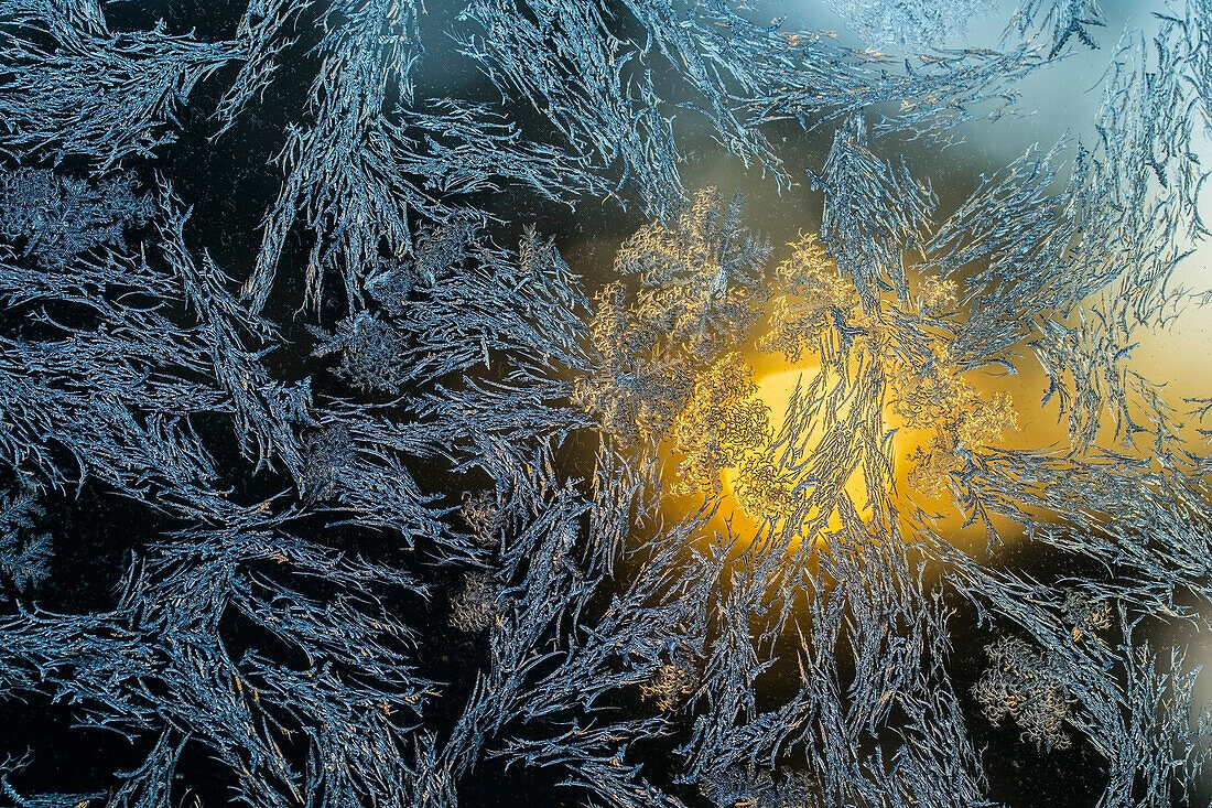 'Sunlight shining through a window covered in frost; Ontario, Canada'