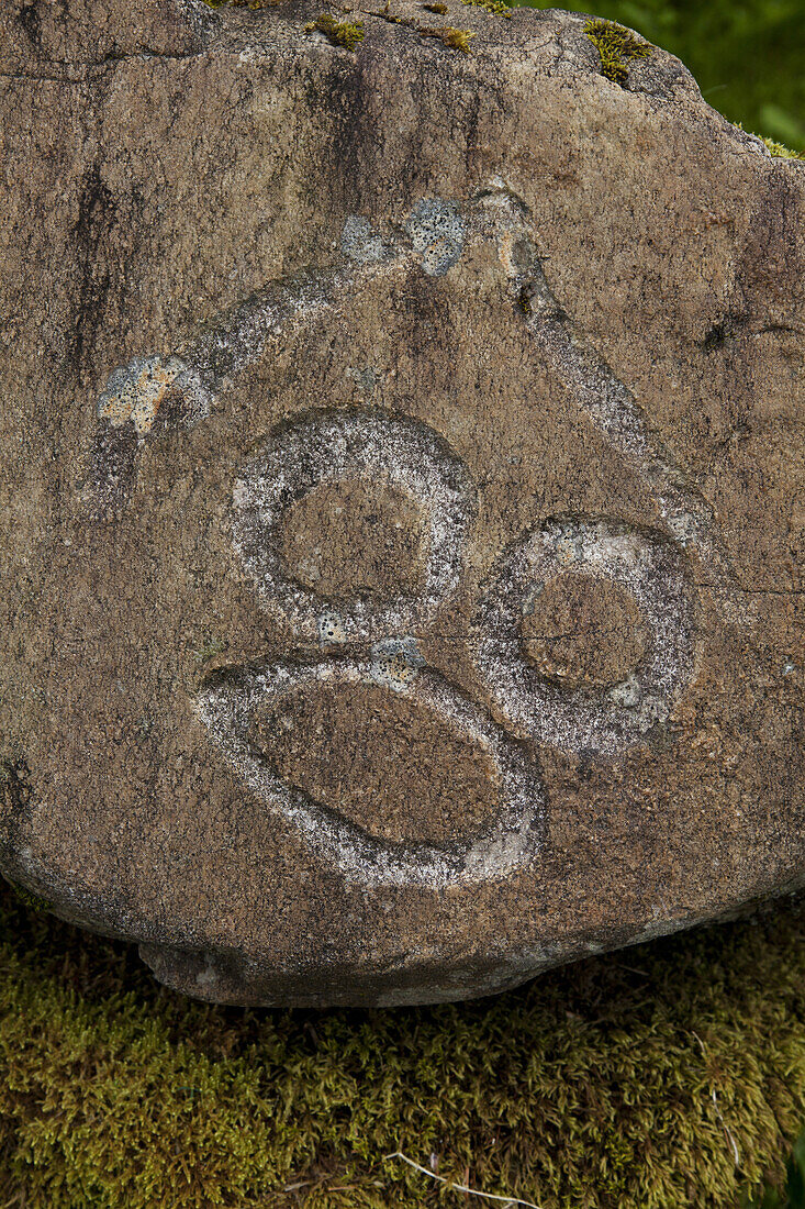 Historical petroglyphs at a protecteds archaeological site sign, Wrangell, Southeast Alaska
