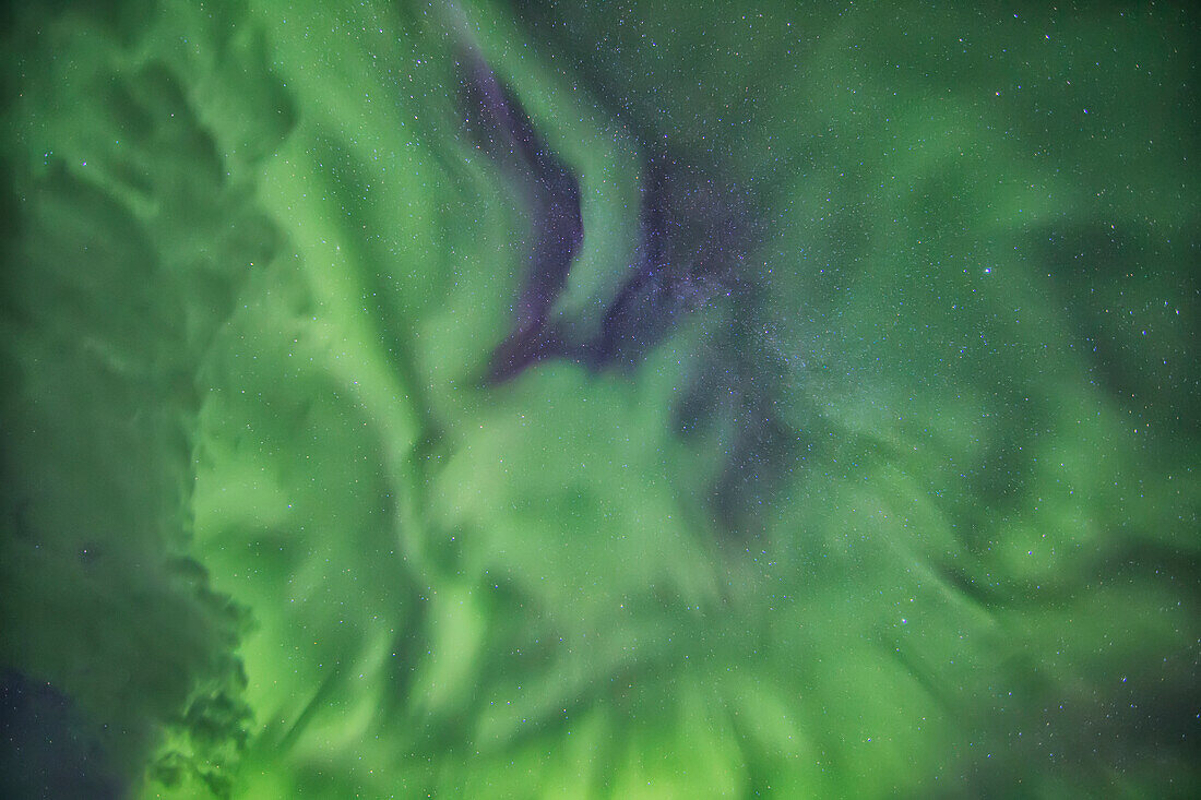 'Aurora borealis, or northern lights, directly overhead; Manitoba, Canada'