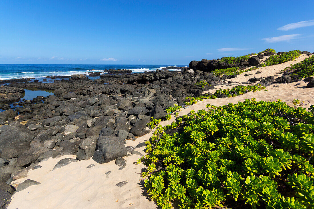 'A remote beach at Kaena Point along the coastline; Oahu, Hawaii, United States of America'
