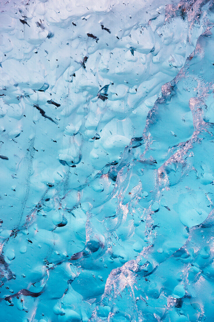 'Close up of ice surface of iceberg broken off Mendenhall Glacier floating in Mendenhall lake, flipping over and exposing blue polished ice from being underwater; Juneau, Alaska, United States of America'