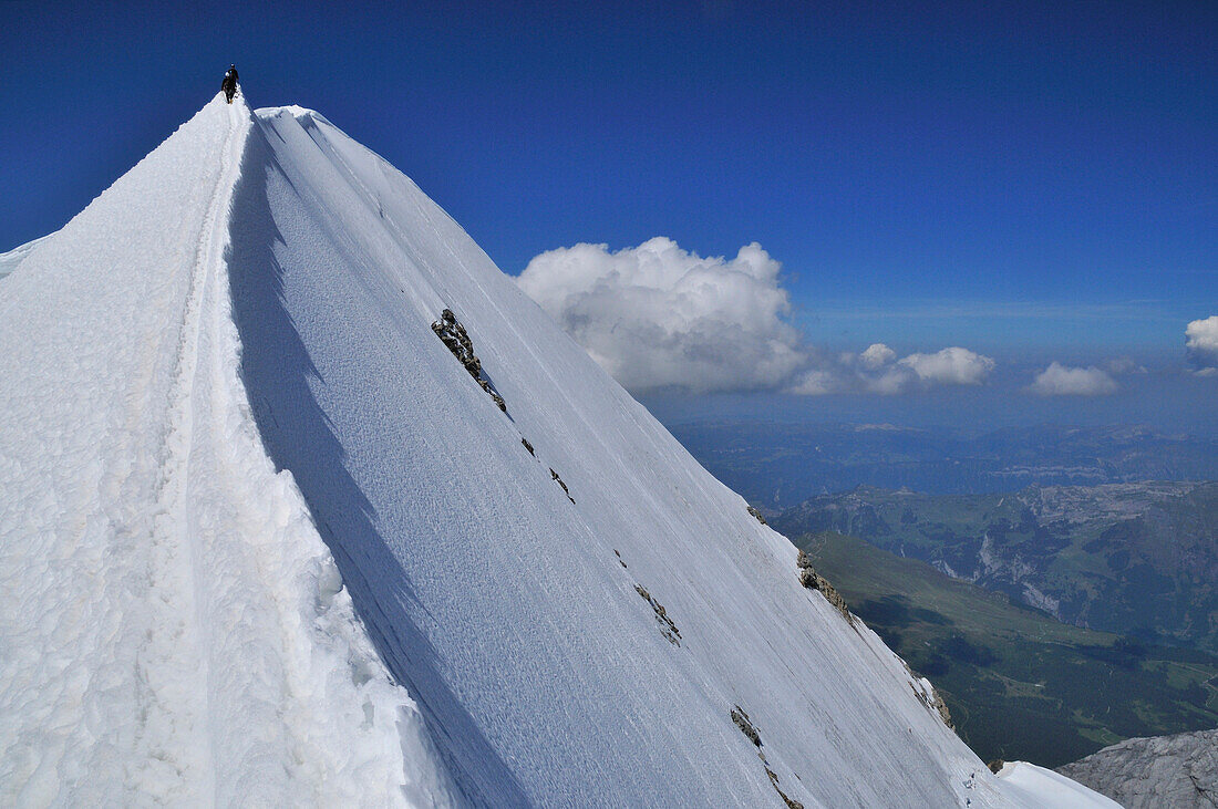 mountaineers on the south ridge of Mönch (4107 m), Bernese Alps, Switzerland