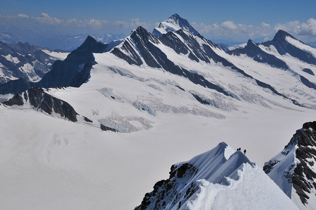 mountaineers on the south ridge of Mönch (4107 m), Finsteraarhorn in the background, Bernese Alps, Switzerland