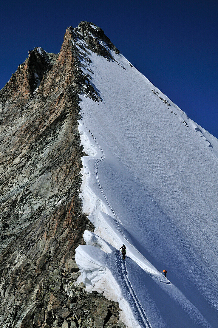mountaineers on the eastridge of Obergabelhorn (4034 m), Wallis, Switzerland