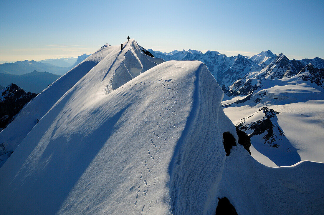 Mountaineers on the ridge between Morgenhorn und Wisse Frau, Blümlisalp (3661 m), Bernese Alps, Switzerland