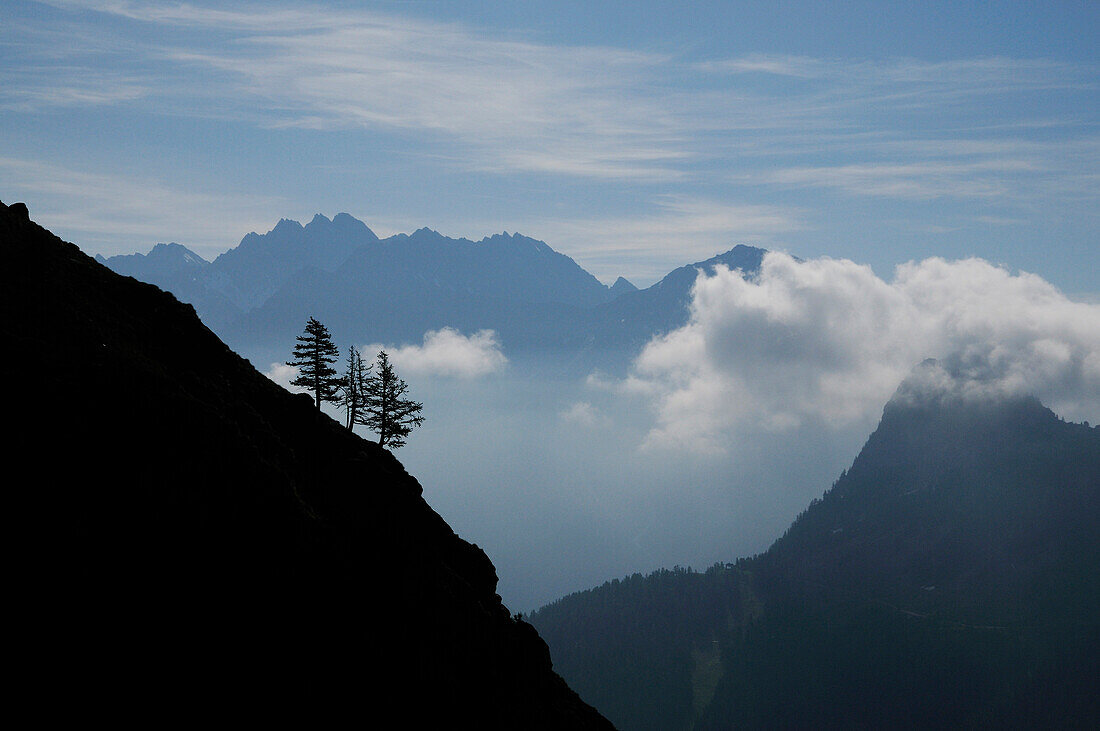 Drei Bäume unterhalb der Aiguille Noire de Peuteray, Mont Blanc, Italien