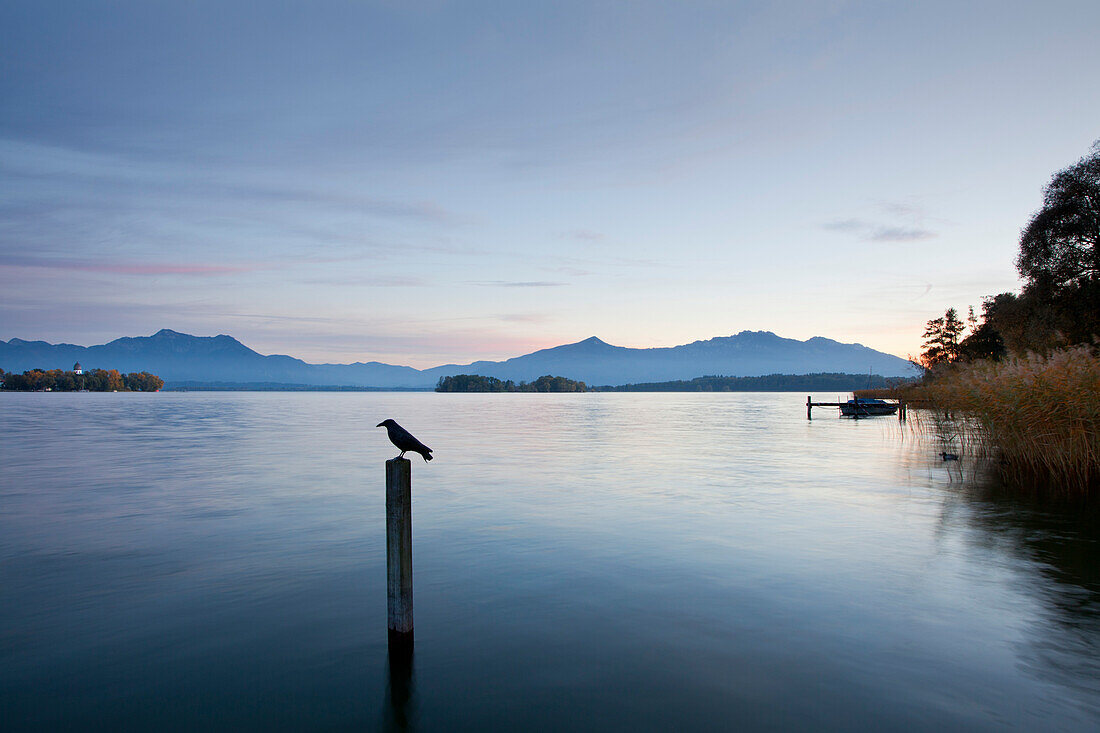 Blick über den Chiemsee zur Fraueninsel, bei Gstadt, Chiemsee, Chiemgau, Bayern, Deutschland