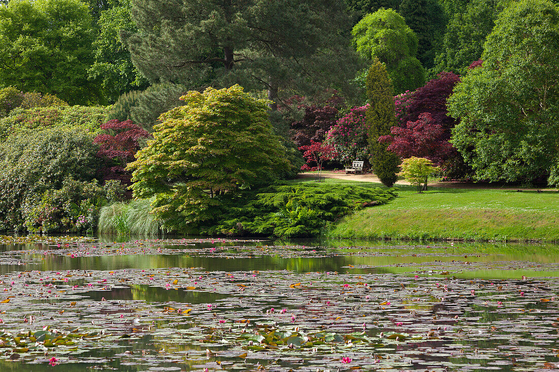 Blick über den See, Sheffield Park Garden, East Sussex, Großbritannien