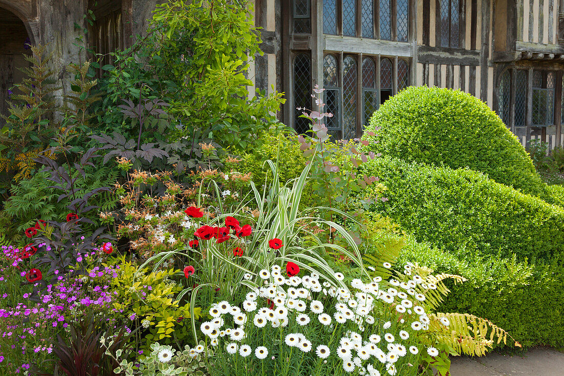 Blumenschmuck am Hauseingang, Northiam, Great Dixter Gardens, East Sussex, Großbritannien