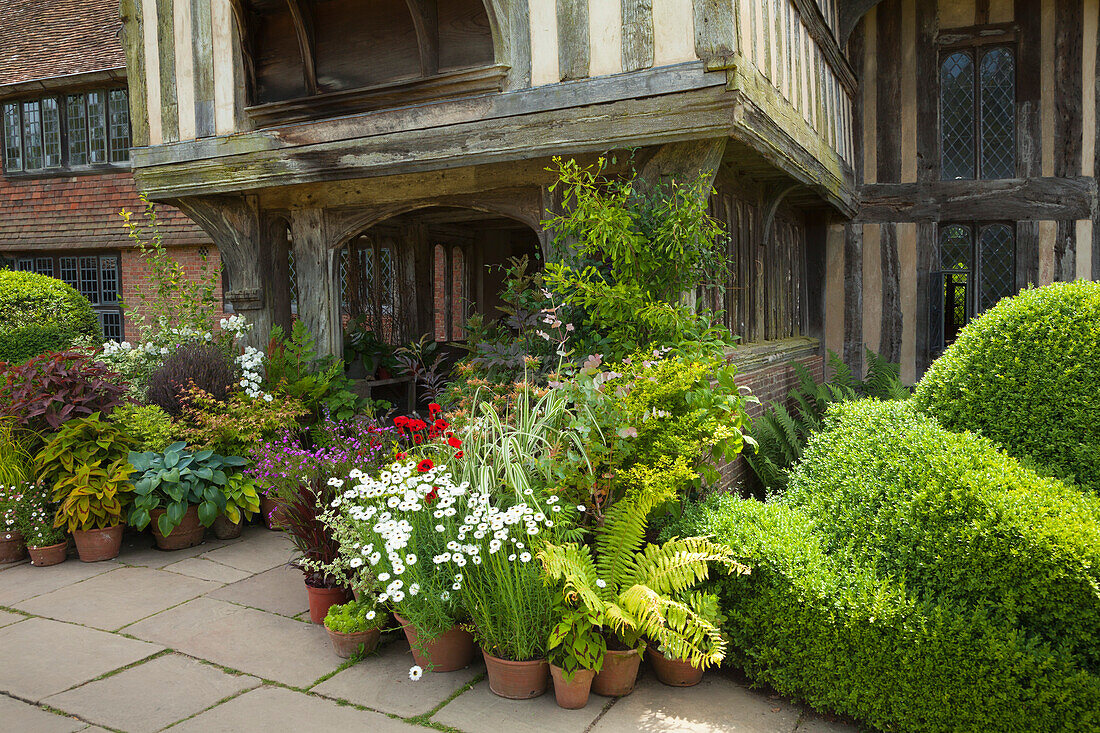 Flowers at the entrance of the manor house, Northiam, Great Dixter Gardens, East Sussex, Great Britain