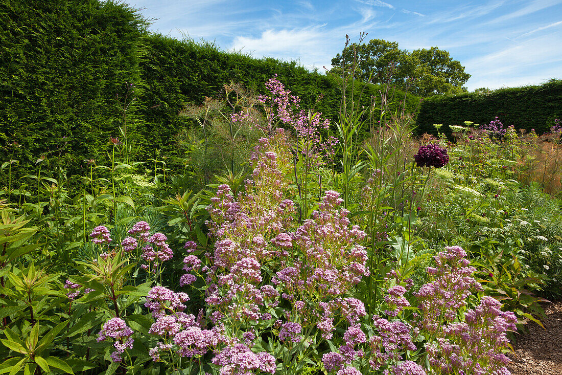 High Garden, Great Dixter Gardens, Northiam, East Sussex, Great Britain