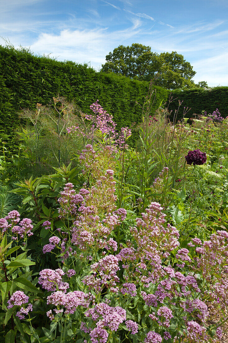High Garden, Great Dixter Gardens, Northiam, East Sussex, Großbritannien