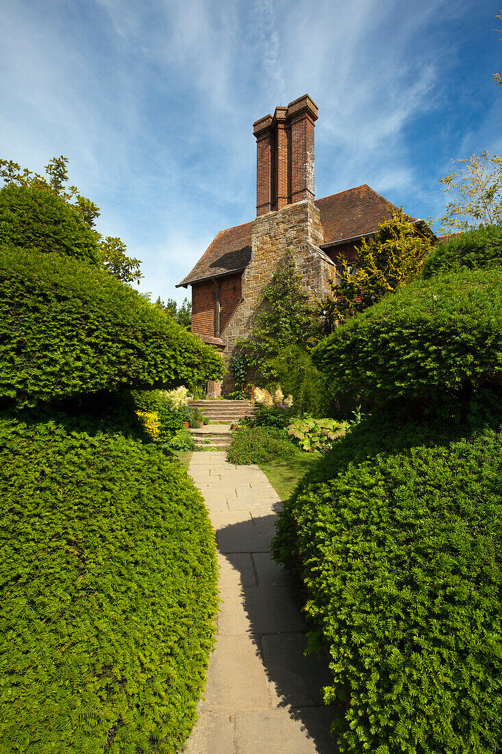 Beschnittene Eiben im Topiary Lawn, Great Dixter Gardens, Northiam, East Sussex, Großbritannien