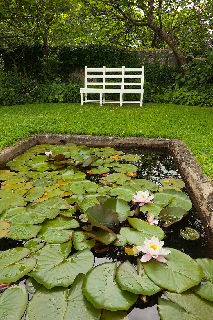 Bench at the lily pond, Monk's house, home of the writer Virginia Woolf, Rodmell, East Sussex, Great Britain