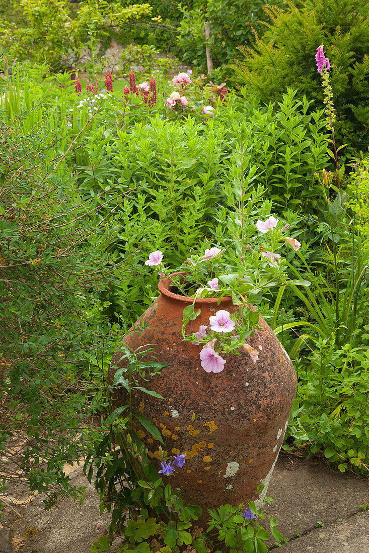 Amphora in the garden, Monk's house, home of the writer Virginia Woolf, Rodmell, East Sussex, Great Britain