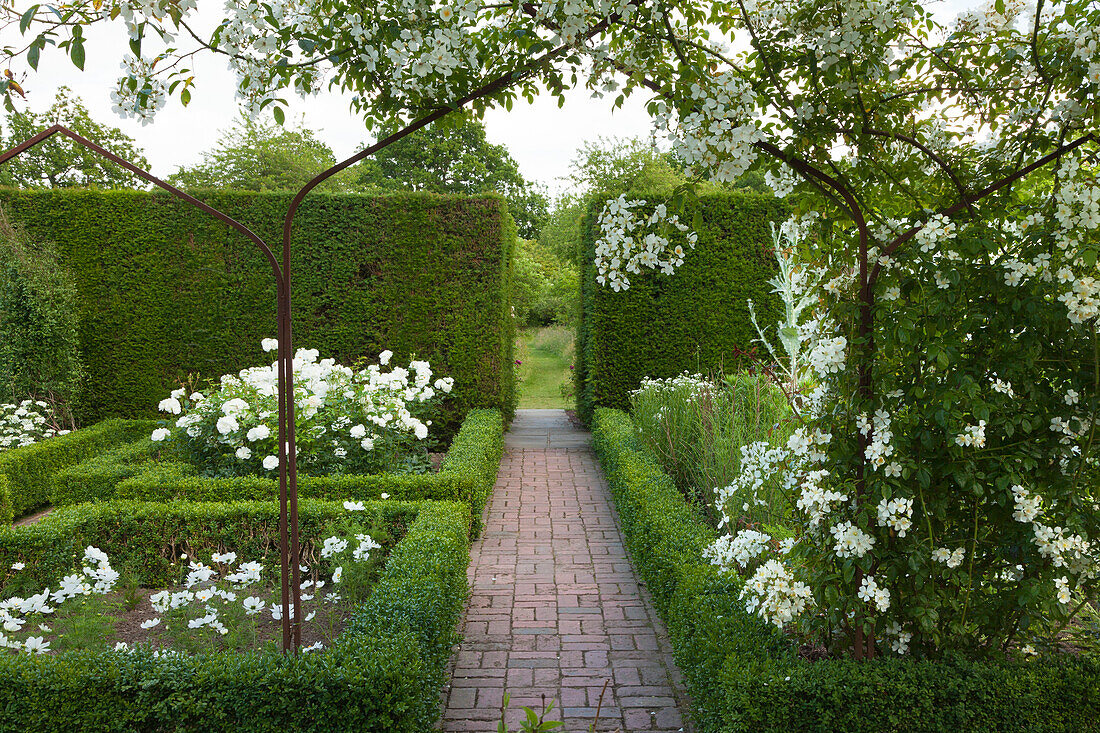 White Garden, Sissinghurst Castle Gardens, Kent, Great Britain