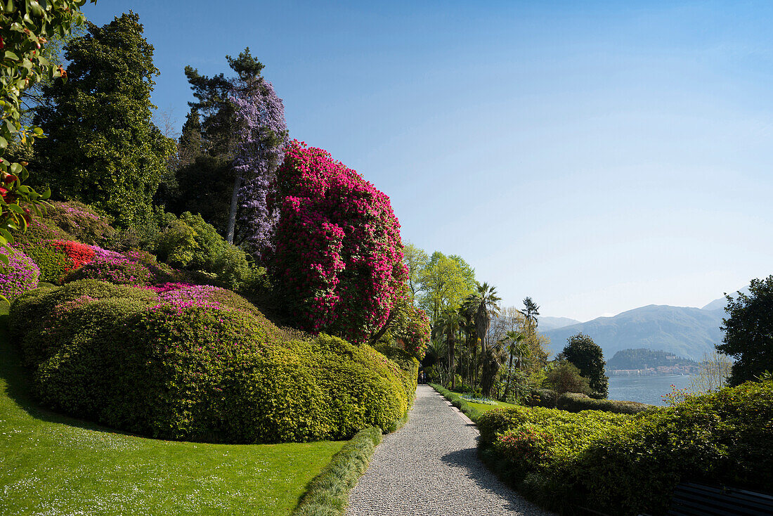 Park der Villa Carlotta, Tremezzo, Comer See, Lago di Como, Provinz Como, Lombardei, Italien
