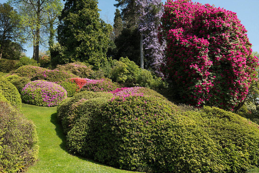 Park der Villa Carlotta, Tremezzo, Comer See, Lago di Como, Provinz Como, Lombardei, Italien