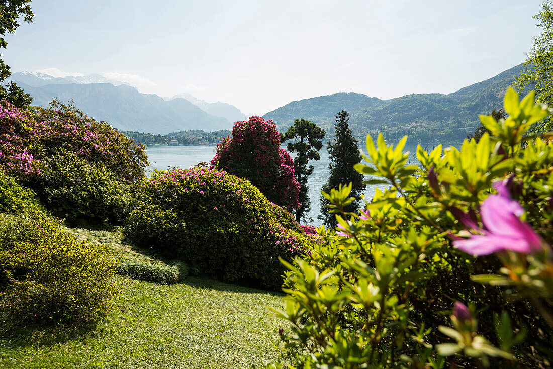 Park der Villa Carlotta, Tremezzo, Comer See, Lago di Como, Provinz Como, Lombardei, Italien