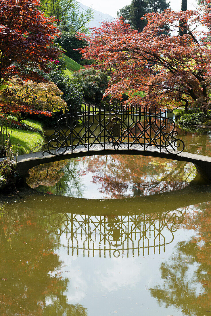 English style gardens of Villa Melzi, Bellagio, Lake Como, Lago di Como, Province of Como, Lombardy, Italy