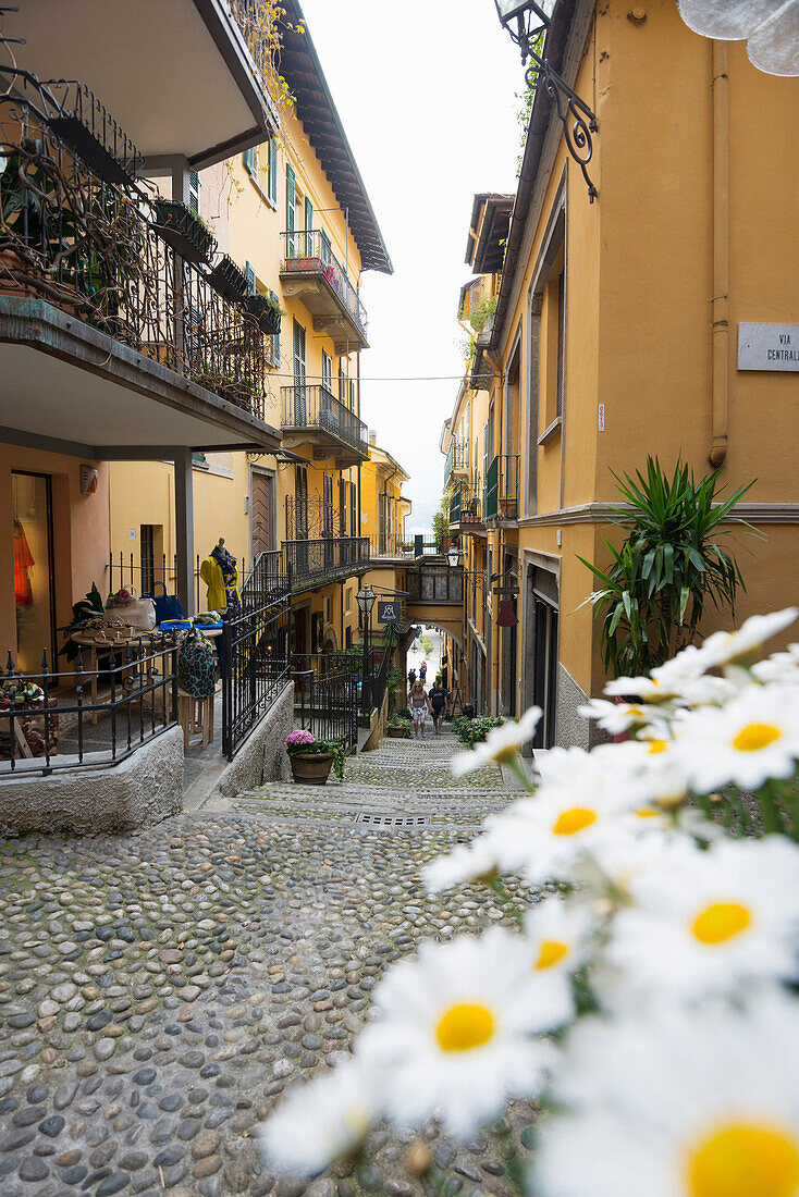 Bellagio, Lake Como, Lago di Como, Province of Como, Lombardy, Italy