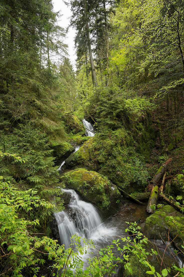 Lotenbachklamm, Wutachschlucht, bei Bonndorf, Schwarzwald, Baden-Württemberg, Deutschland