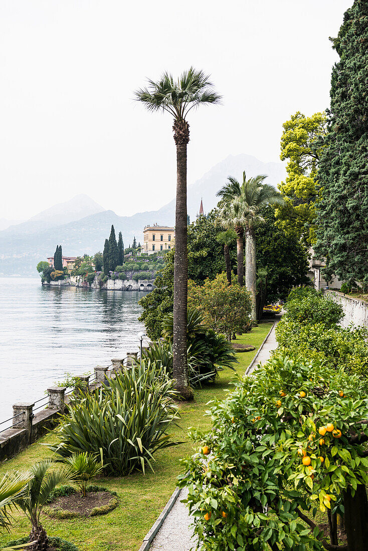 Gardens of Villa Monastero, Varenna, Lake Como, Lago di Como, Province of Lecco, Lombardy, Italy