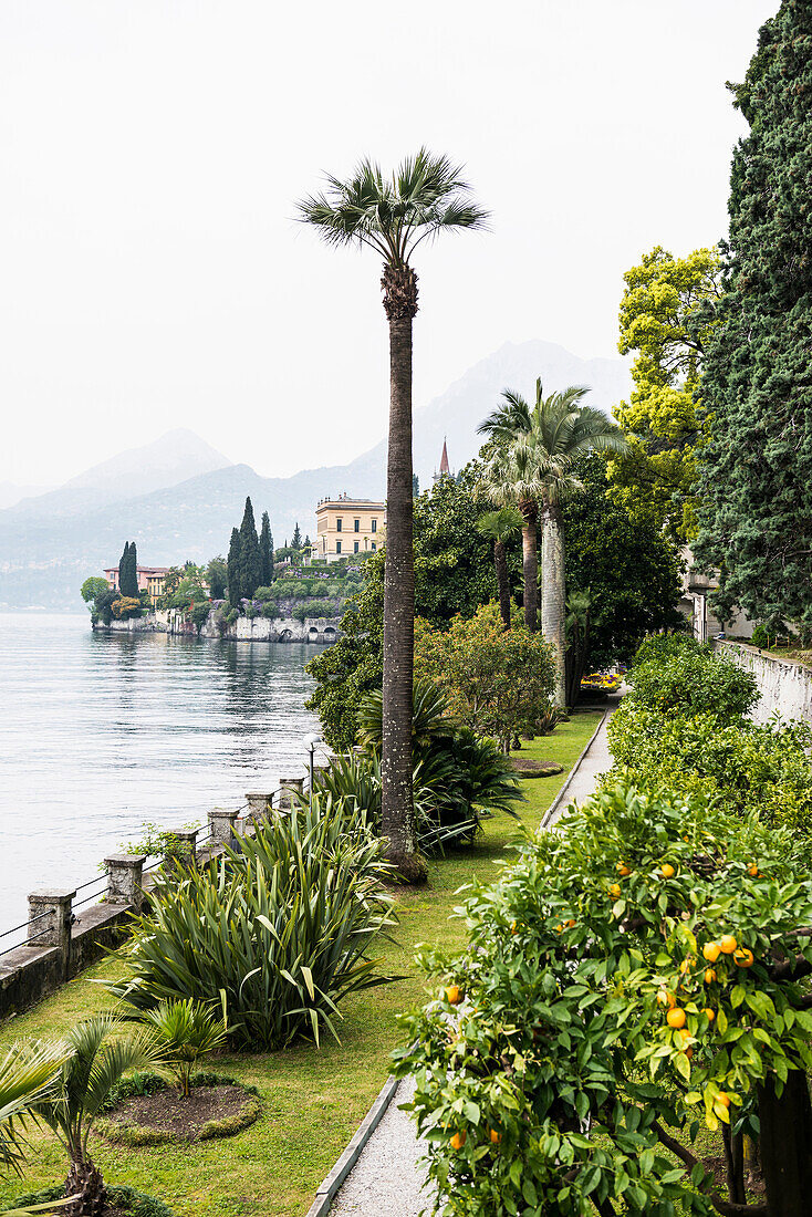 Park der Villa Monastero, Varenna, Comer See, Lago di Como, Provinz Lecco, Lombardei, Italien