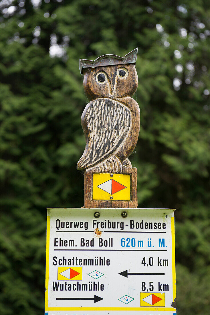 Wegweiser mit Eule, Wutachschlucht, bei Bonndorf, Schwarzwald, Baden-Württemberg, Deutschland