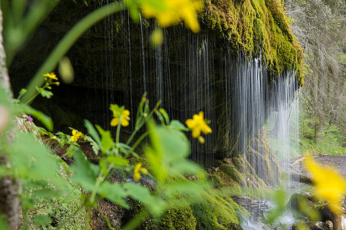 Wasserfall in der Wutachschlucht, bei Bonndorf, Schwarzwald, Baden-Württemberg, Deutschland