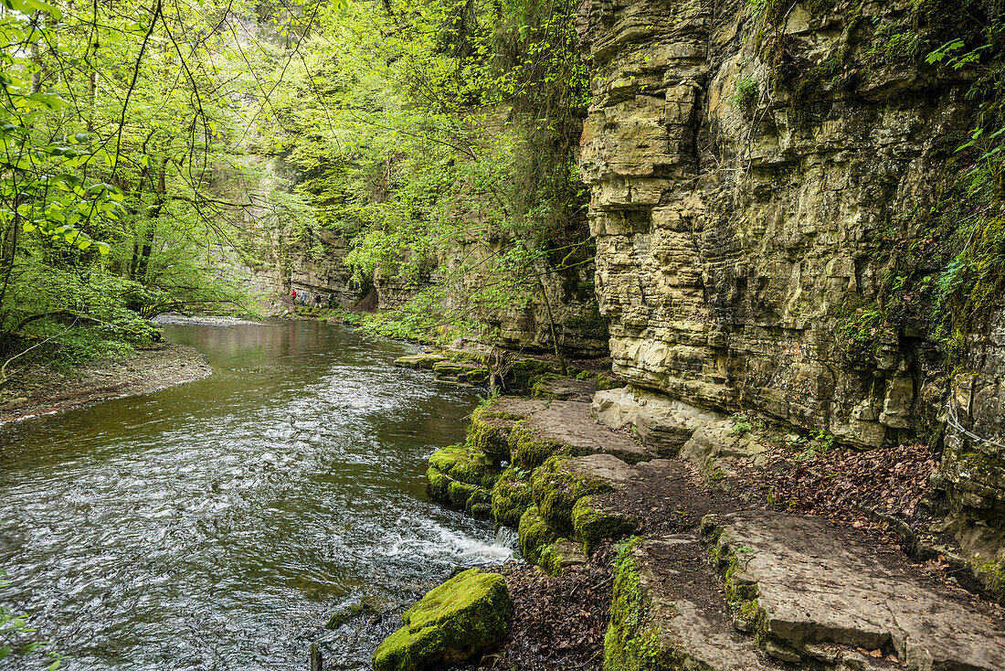 Wutachschlucht, near Bonndorf,  Black Forest, Baden-Wuerttemberg, Germany