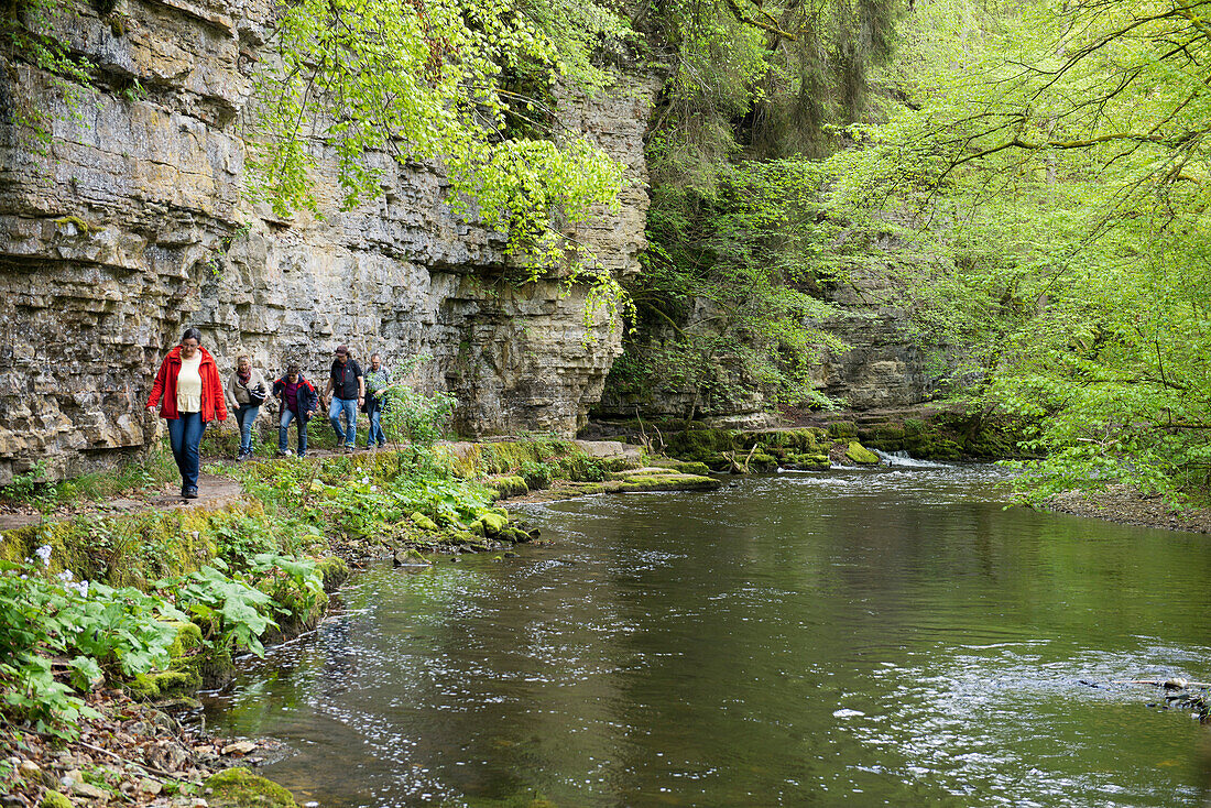 Wutachschlucht, near Bonndorf,  Black Forest, Baden-Wuerttemberg, Germany