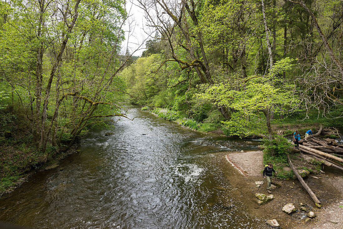 Wutachschlucht, bei Bonndorf, Schwarzwald, Baden-Württemberg, Deutschland