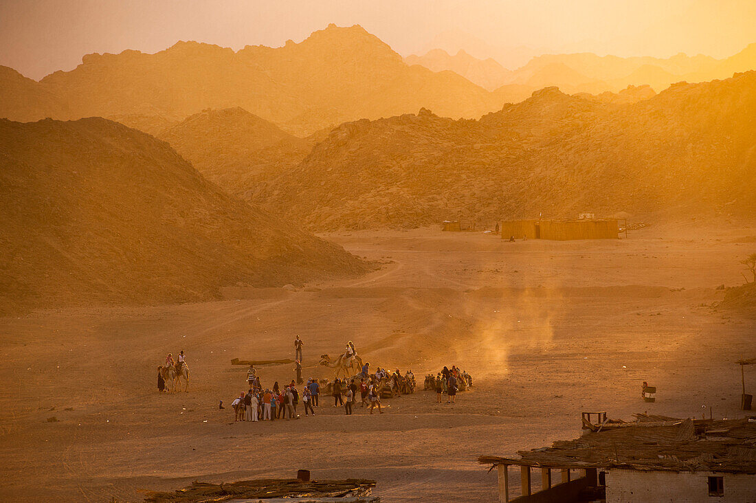 Touristen auf einem Kamelritt besuchen Beduinendorf in der Arabischen Wüste, Hurghada, Al-Bahr al-ahmar, Ägypten