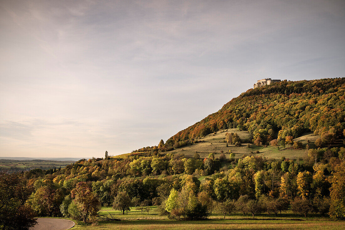 View to Hohenneuffen rock fortress during warm autumn light, around Kirchheim Teck, Swabian Alp, Baden-Wuerttemberg, Germany