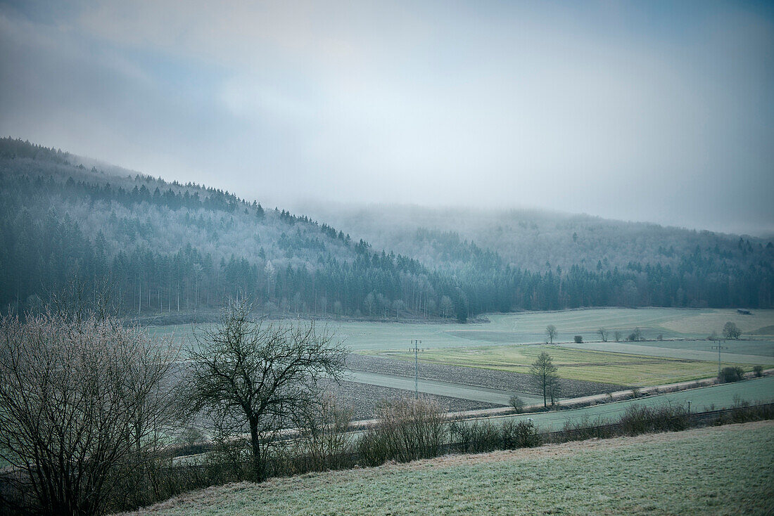 Mist and hoar frost during late autumn near Schelklingen close to Blaubeuren, Schmiech valley, Swabian Alp, Baden-Wuerttemberg, Germany