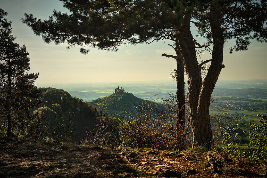 Blick vom Zeller Horn zur Burg Hohenzollern, Hechingen Bisingen, Zollernalbkreis, Schwäbische Alb, Baden-Württemberg, Deutschland