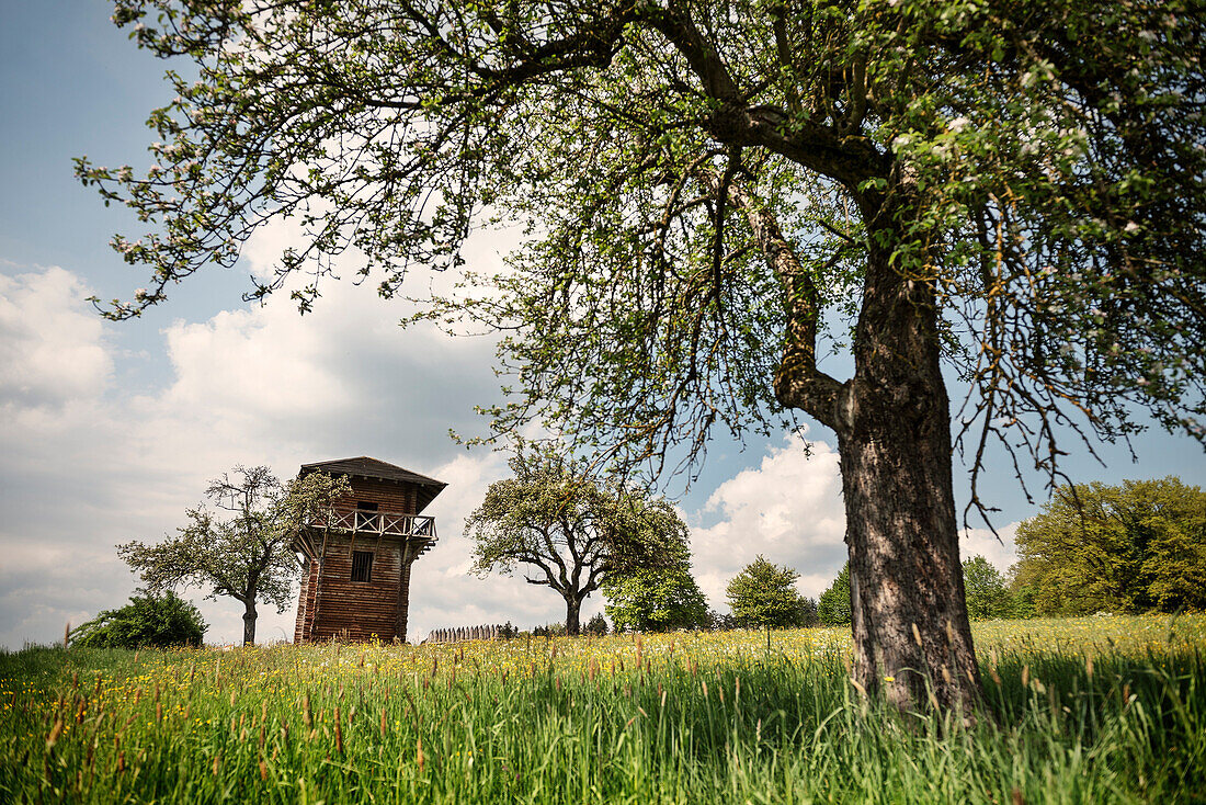 Reconstructed Roman watchtower at Limes located in a mixed fruit orchard, Lorch monastry, Swabian Alp, Baden-Wuerttemberg, Germany