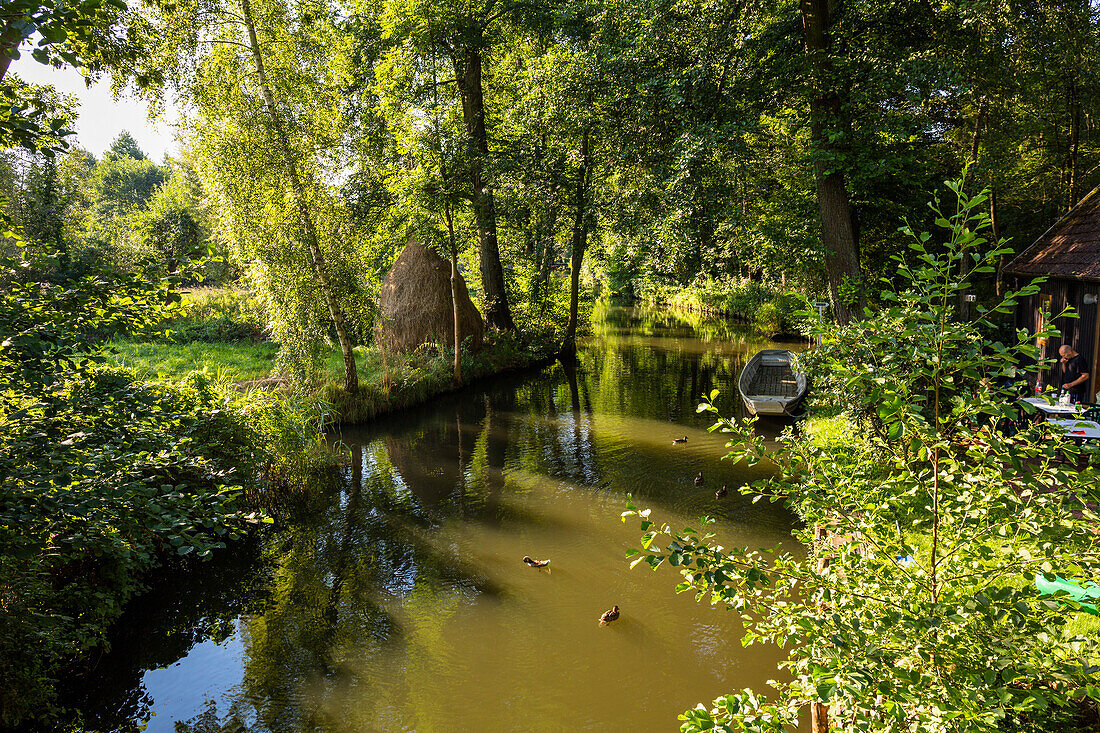 River in Spreewald, UNESCO biosphere reserve, Brandenburg, Germany, Europe