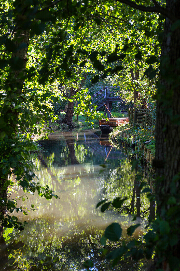 River flowing through Spreewald, UNESCO biosphere reserve, Brandenburg, Germany, Europe