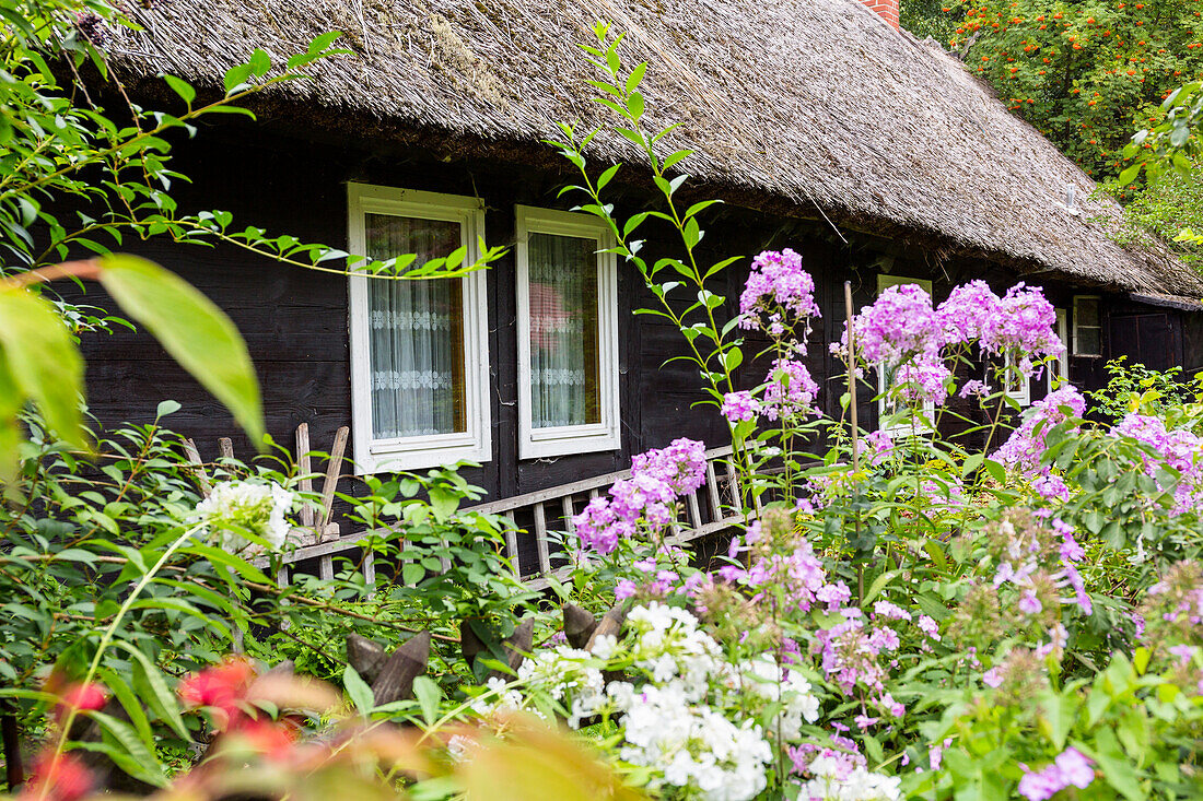 House in Spreewald, river Spree, UNESCO biosphere reserve, Lehde, Luebbenau, Brandenburg, Germany, Europe