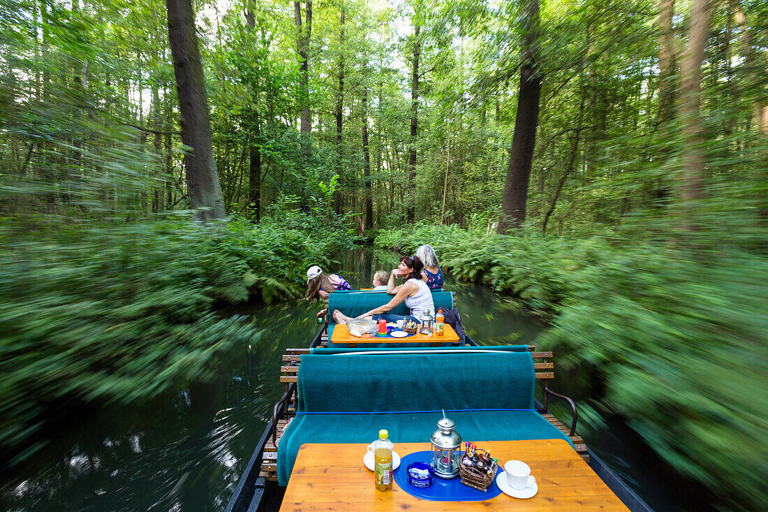 Boat tour in Spreewald, Spree, UNESCO biosphere reserve, Luebbenau, Brandenburg, Germany, Europe