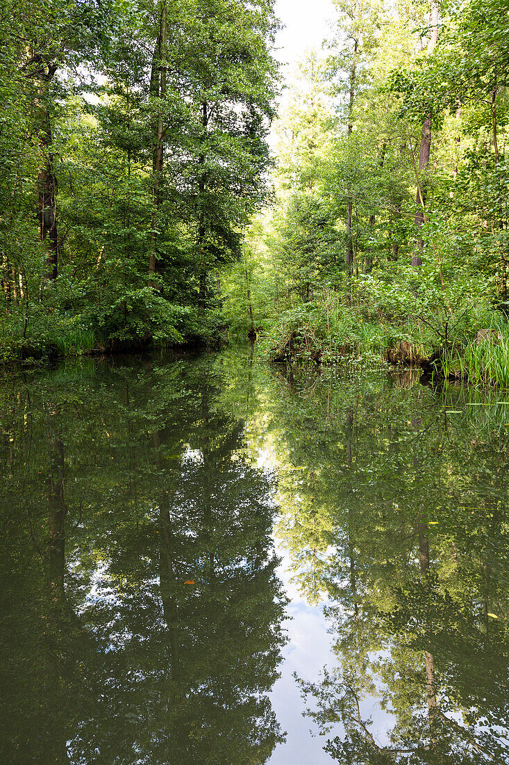 Fließ im Spreewald, UNESCO Biosphärenreservat, Lehde, Lübbenau, Brandenburg, Deutschland