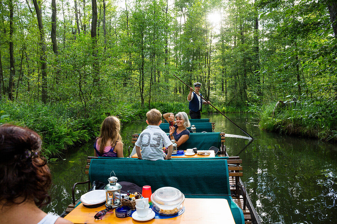 River flowing through Spreewald, UNESCO biosphere reserve, Luebbenau, Brandenburg, Germany, Europe