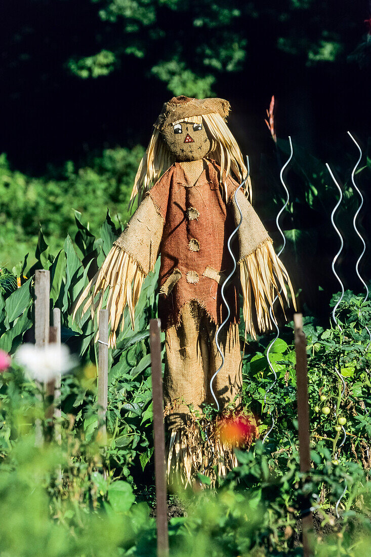 Scarecrow in the garden, Lehde, Spree Forest, Spreewald, UNESCO biosphere reserve, Brandenburg, Germany, Europe