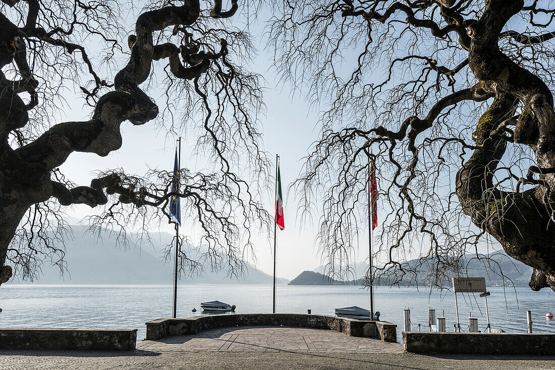 Menaggio, Comer See, Lago di Como, Provinz Como, Lombardei, Italien